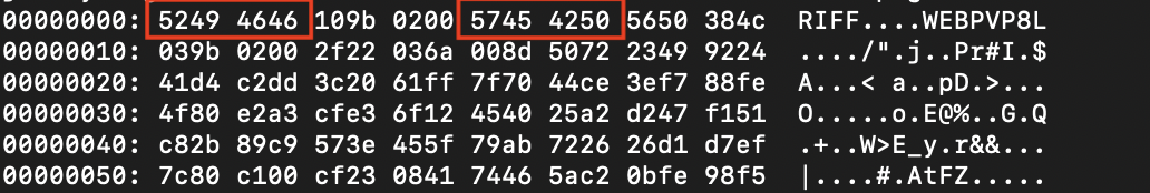 Magic Byte